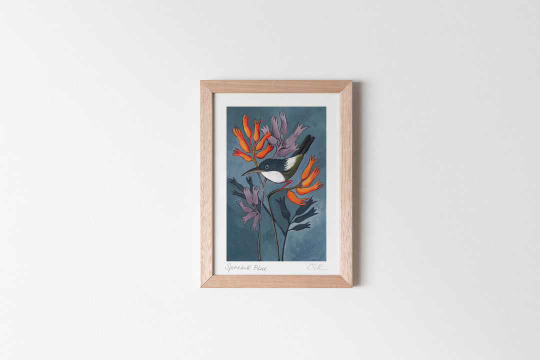 Spinebill Blue Fine Art Print