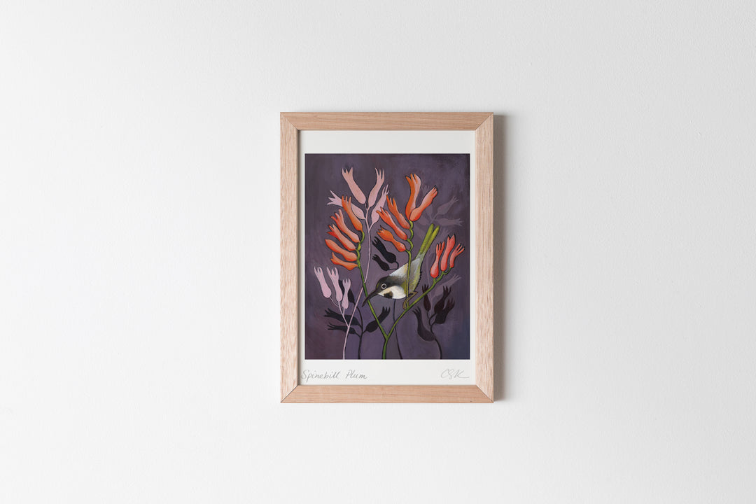 Spinebill Plum Fine Art Print