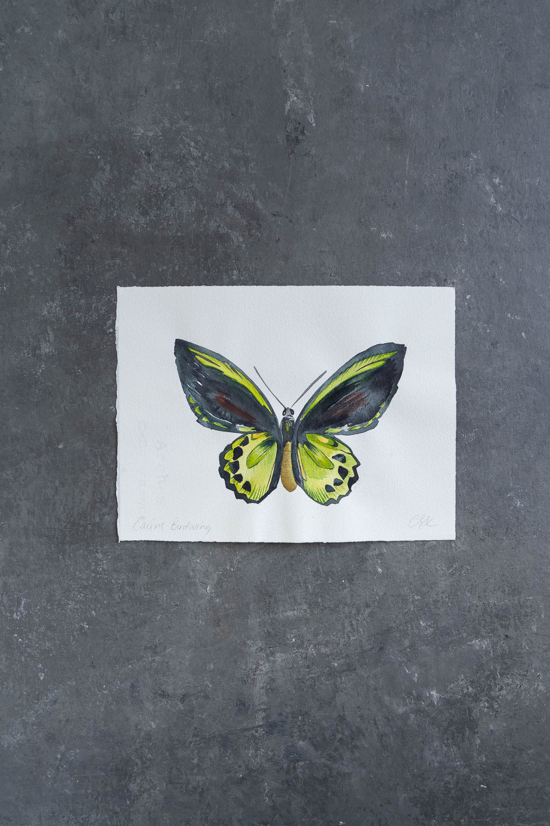 hand screen printed linen original art – australian made