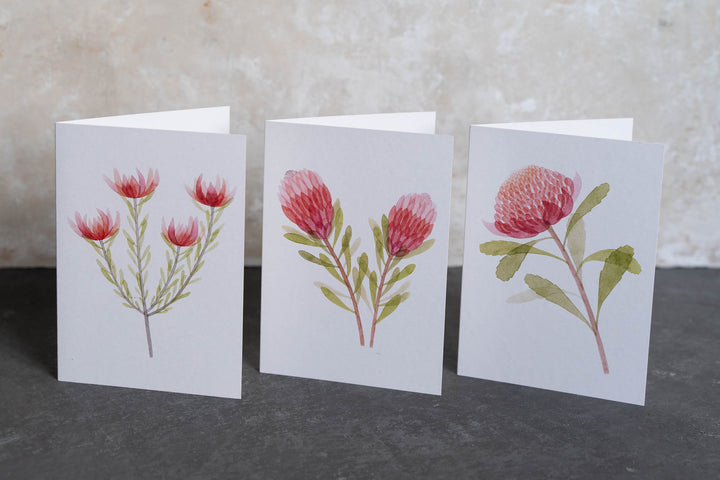 Blank card - Waratah