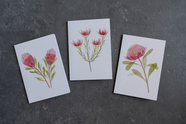 Blank card - Leucadendron