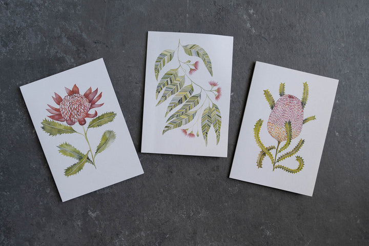 Blank card - Flowering Gum