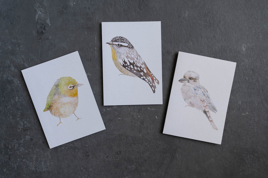 Blank card - Spotted Pardalote