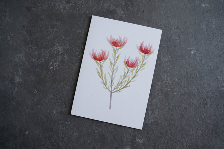 Blank card - Leucadendron