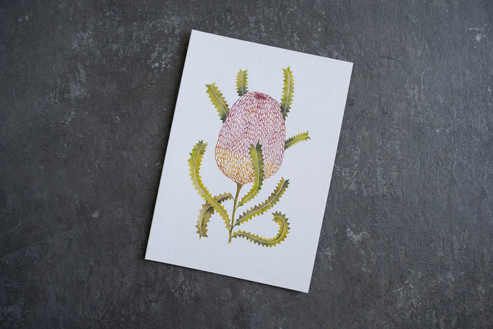 Blank card - Sawtooth Banksia