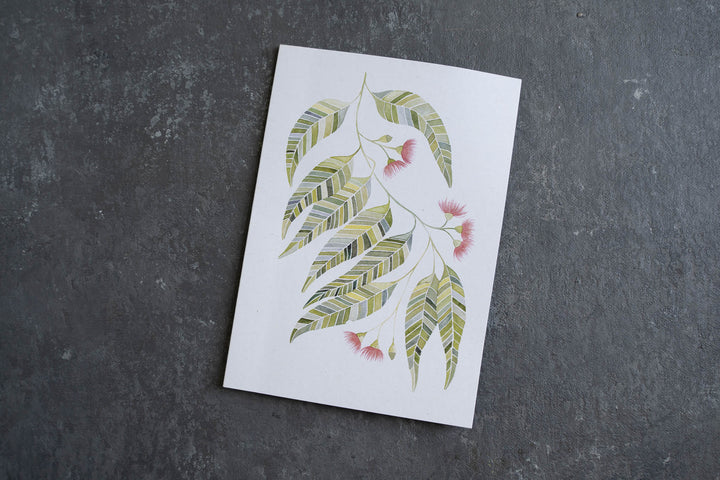 Blank card - Flowering Gum