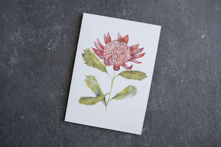 Blank card - NSW Waratah