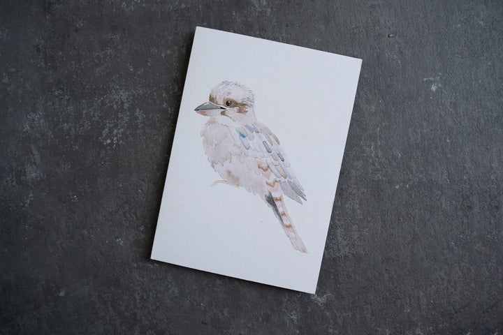 Blank card - Kookaburra