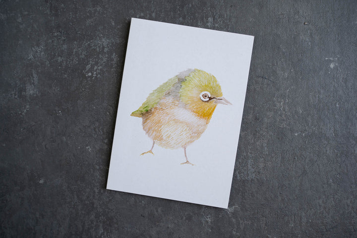 Blank card - Silver Eye Finch