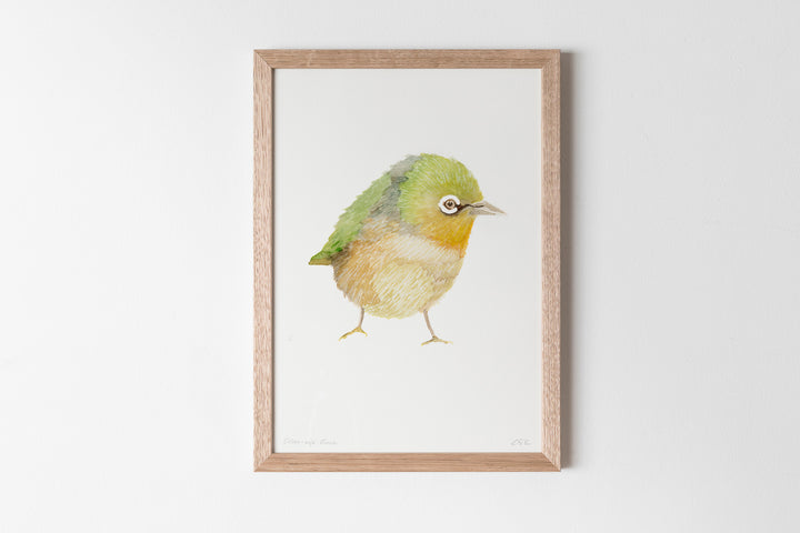 Silver-Eye Finch Fine Art Print