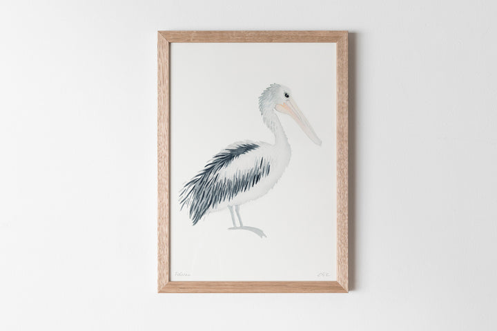 Pelican Fine Art Print