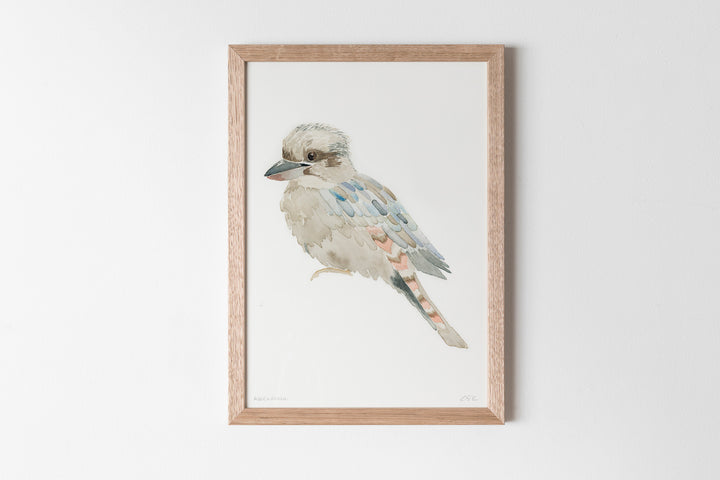 Kookaburra Fine Art Print