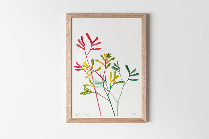'Bush Dance' Kangaroo Paw Fine Art Print