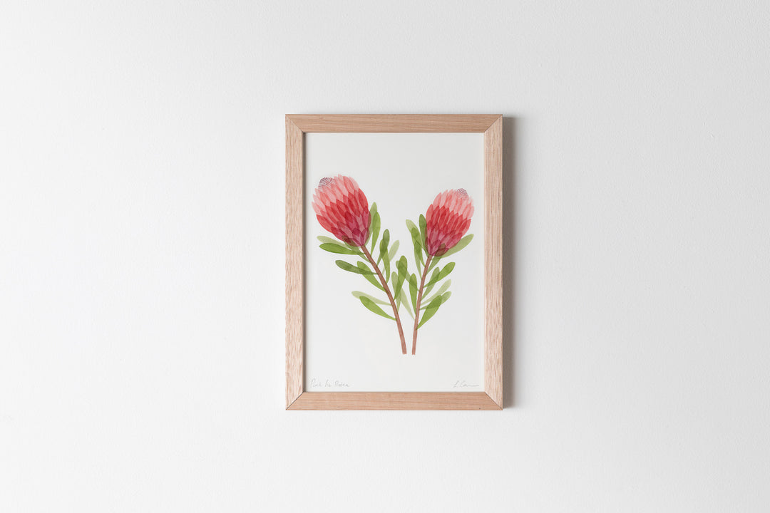 Pink Ice Protea Fine Art Print