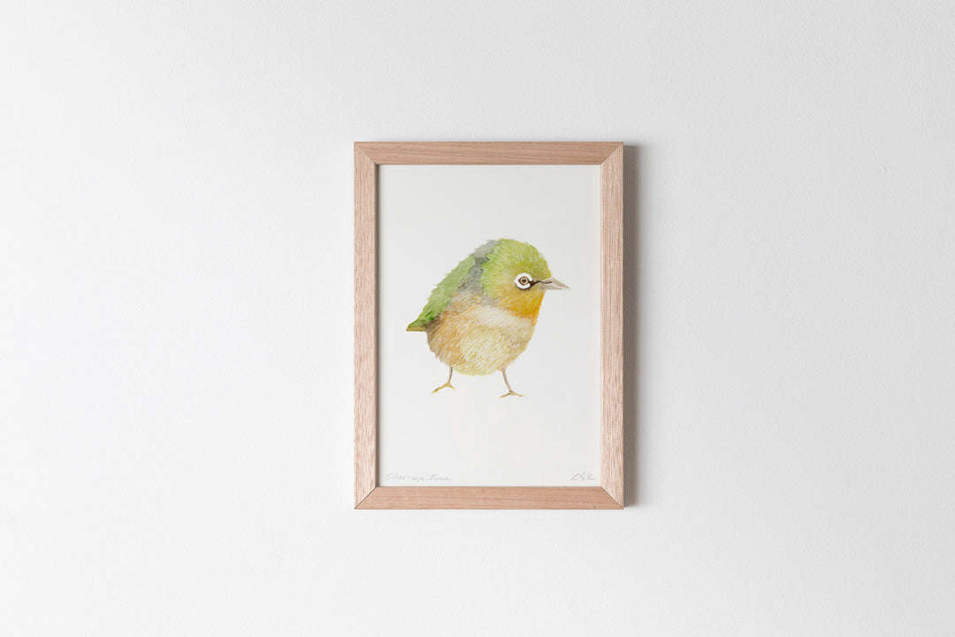 Silver-Eye Finch Fine Art Print
