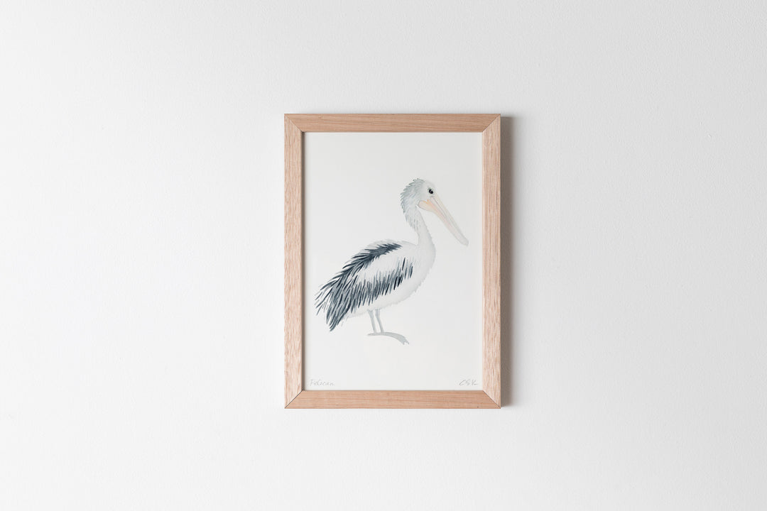 Pelican Fine Art Print