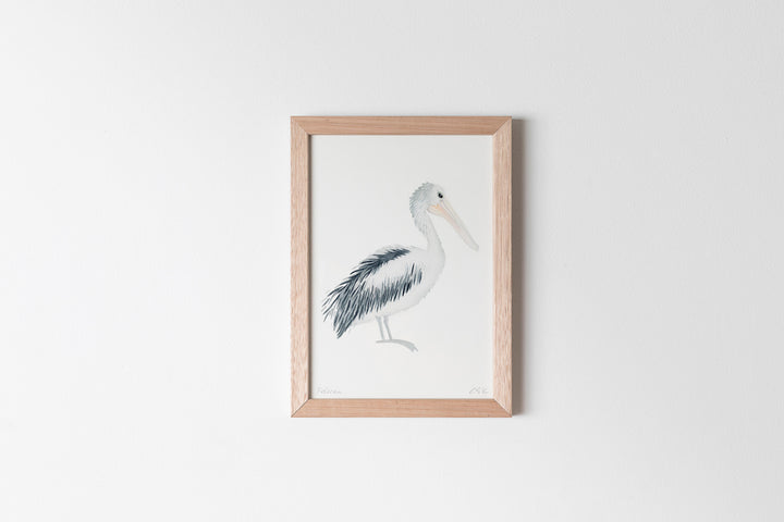 Pelican Fine Art Print
