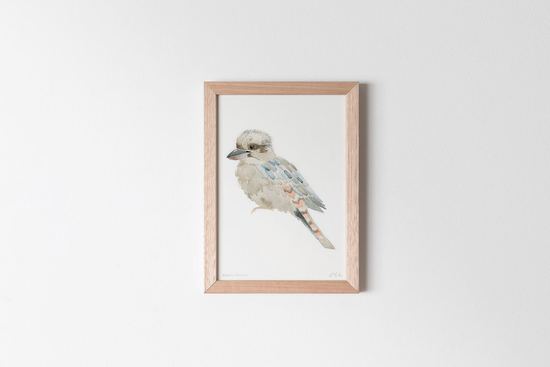 Kookaburra Fine Art Print