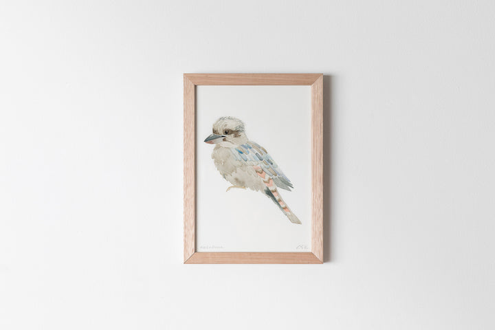 Kookaburra Fine Art Print