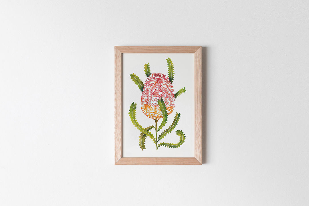 Sawtooth Banksia Fine Art Print