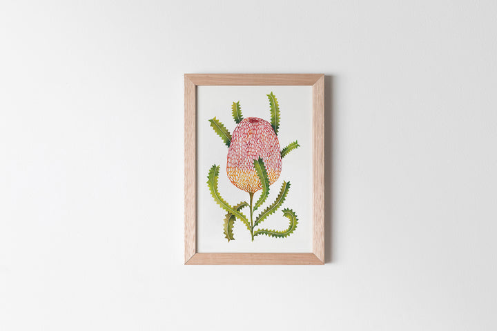 Sawtooth Banksia Fine Art Print