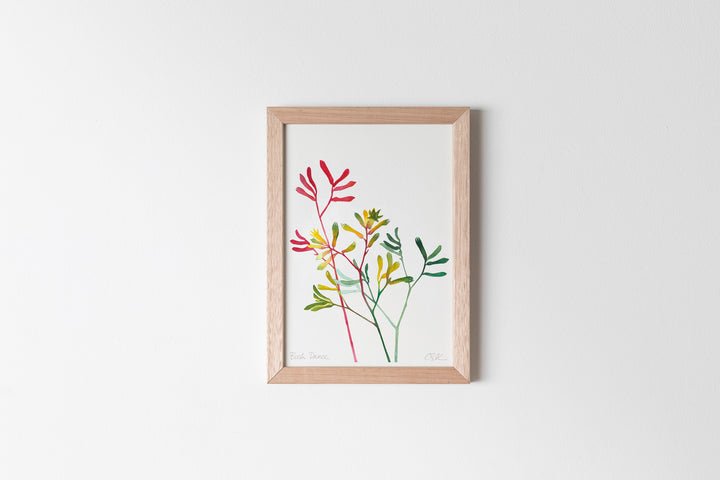 'Bush Dance' Kangaroo Paw Fine Art Print