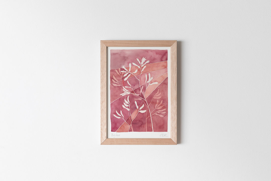 'Big Red' Kangaroo Paw Fine Art Print