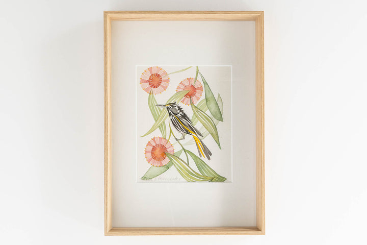 Hakea & Honeyeater - Original Artwork