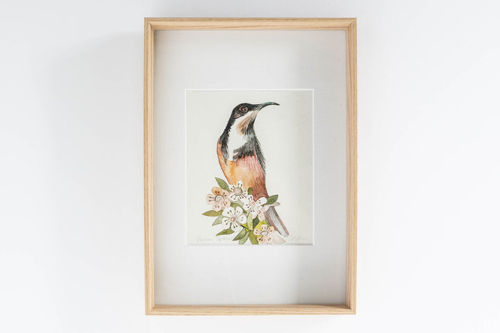 Eastern Spinebill - Original Artwork