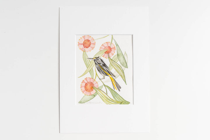 Hakea & Honeyeater - Original Artwork