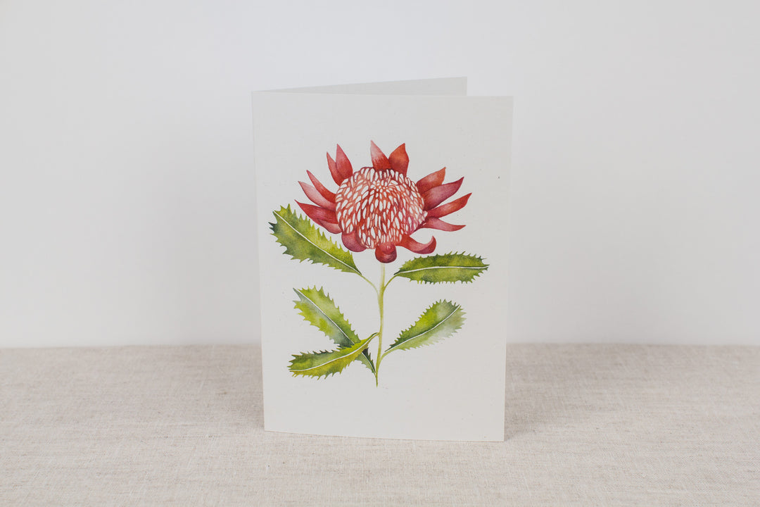 Set of 3 cards - Native Flora