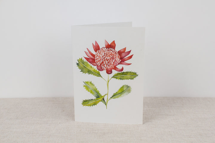 Set of 3 cards - Native Flora