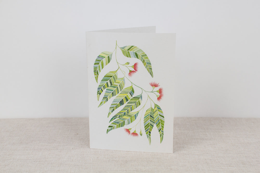 Set of 3 cards - Native Flora