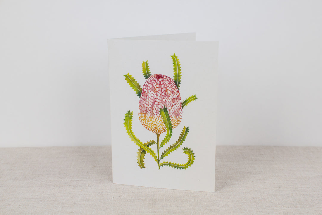 Set of 3 cards - Native Flora