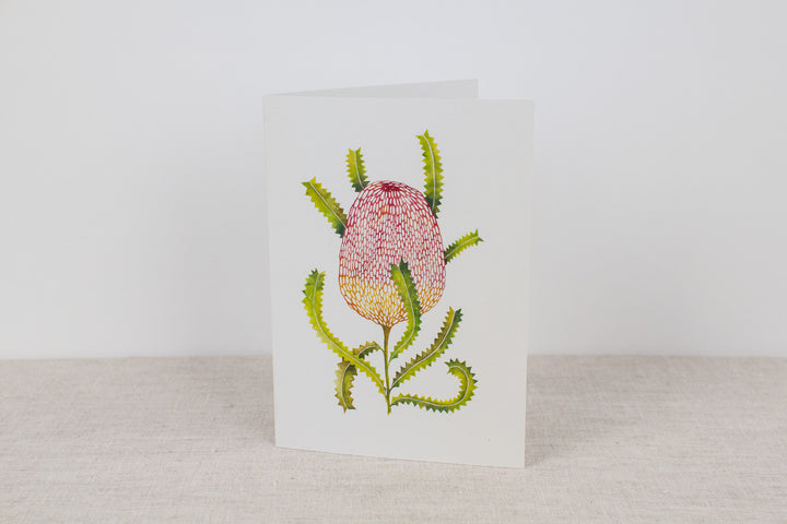 Set of 3 cards - Native Flora