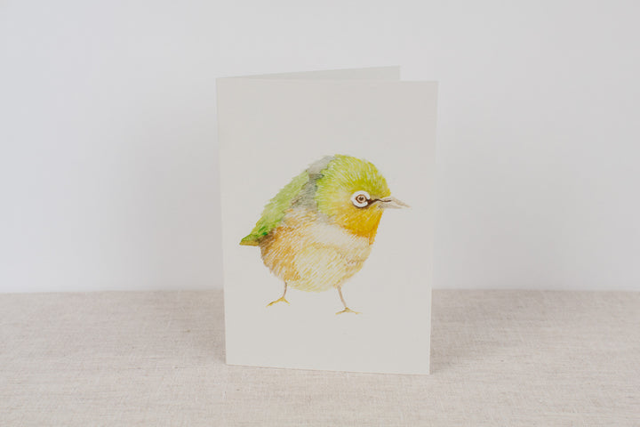 Set of 3 cards - Native Birds