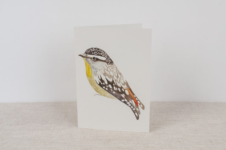 Set of 3 cards - Native Birds