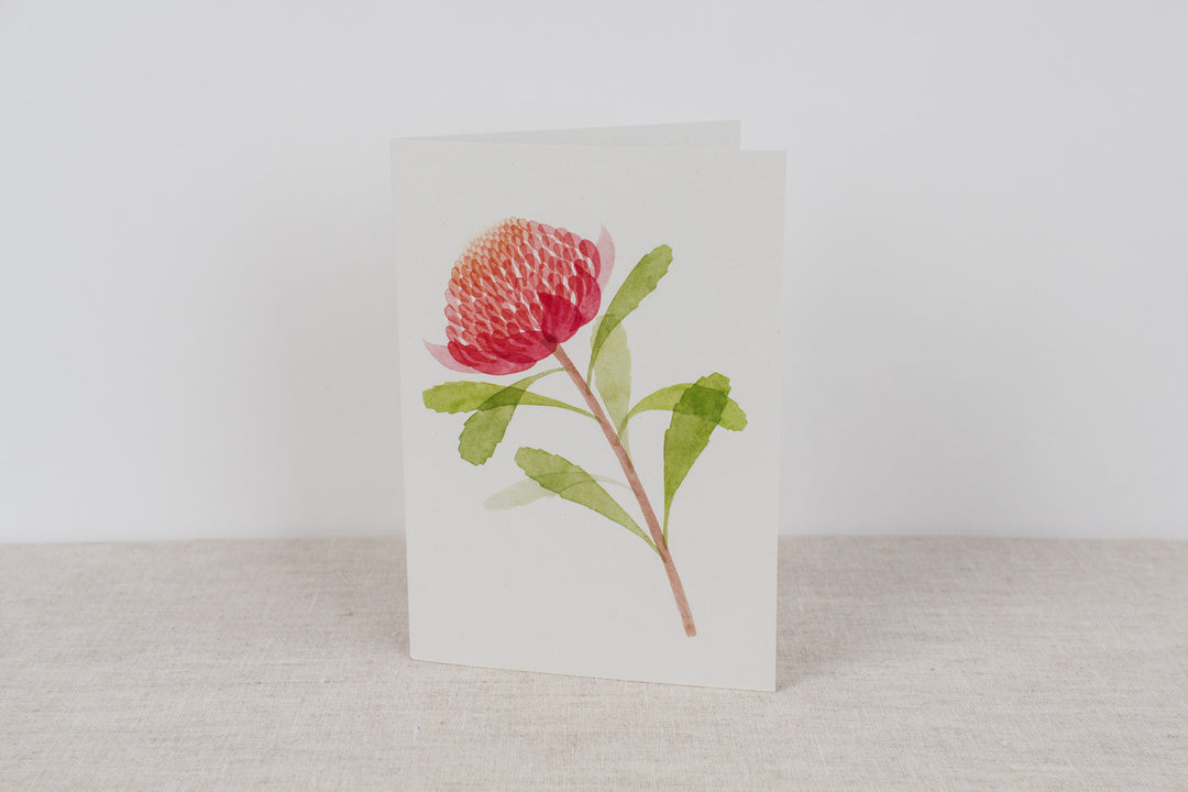 Set of 3 cards - Proteas