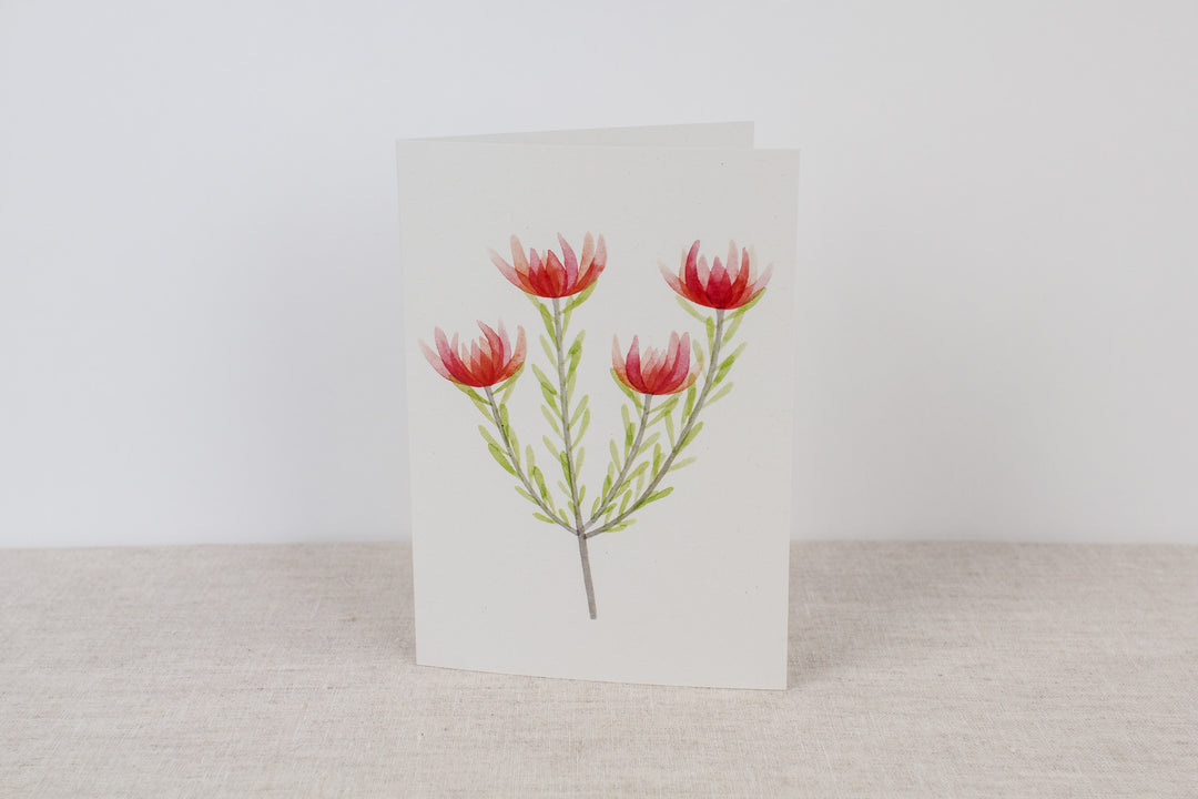 Set of 3 cards - Proteas