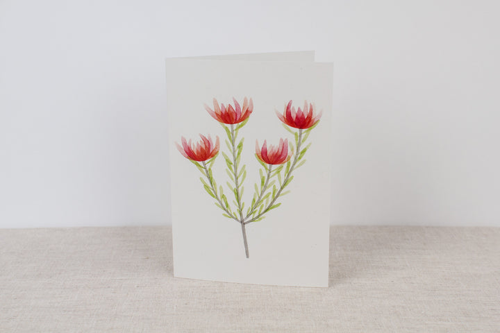 Set of 3 cards - Proteas