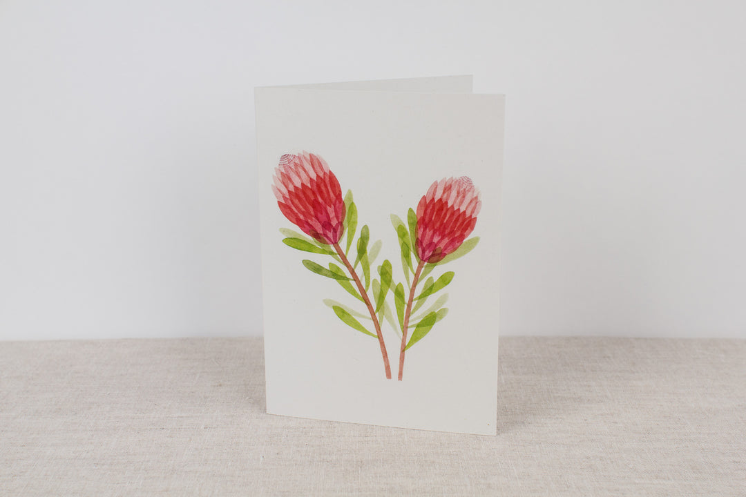Set of 3 cards - Proteas