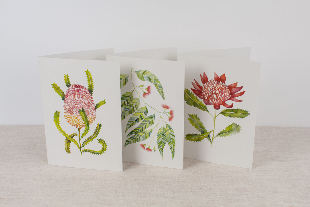 Set of 3 cards - Native Flora
