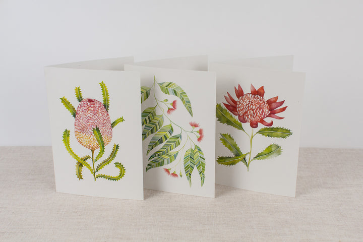 Set of 3 cards - Native Flora