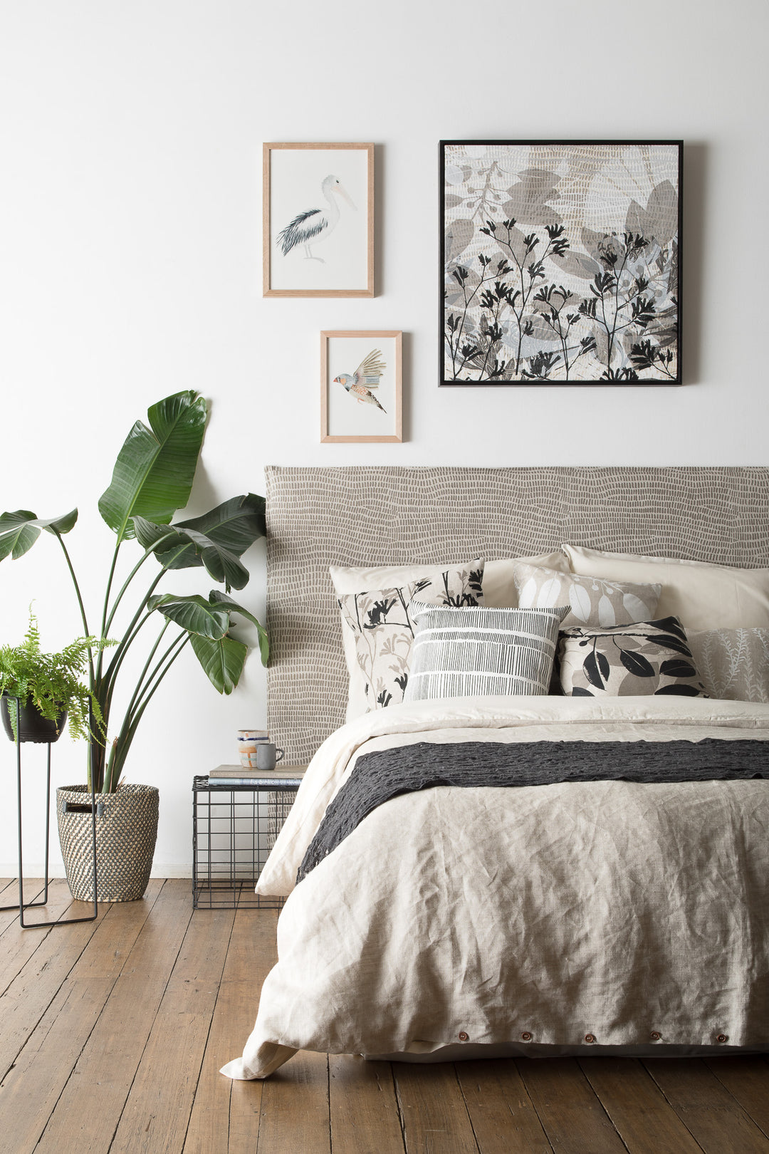 Pelican Fine Art Print