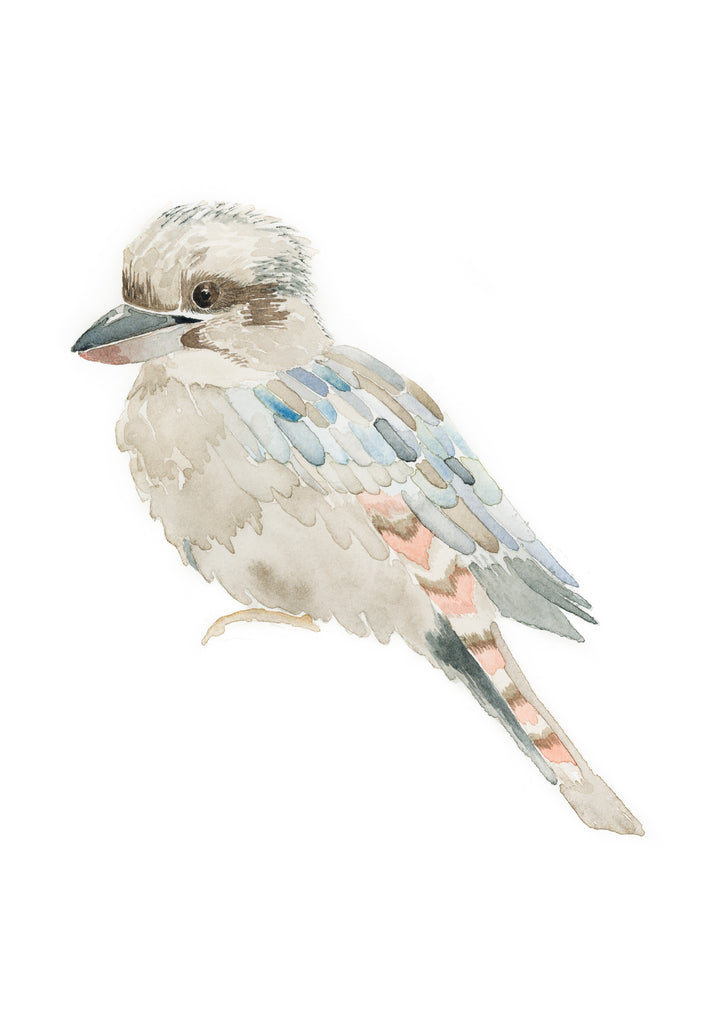 Kookaburra Fine Art Print