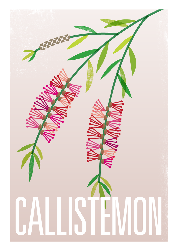 Set of 3 Botanical Fine Art Prints