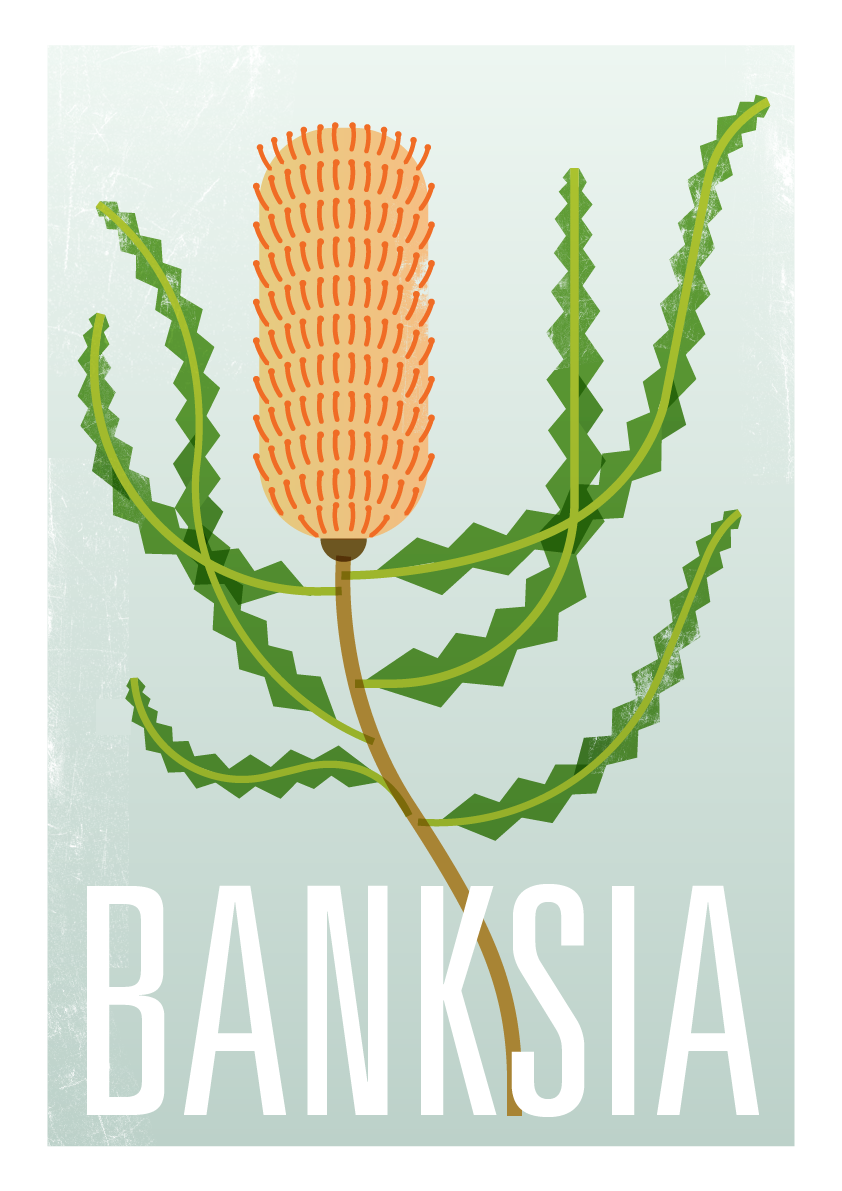 Banksia Fine Art Print