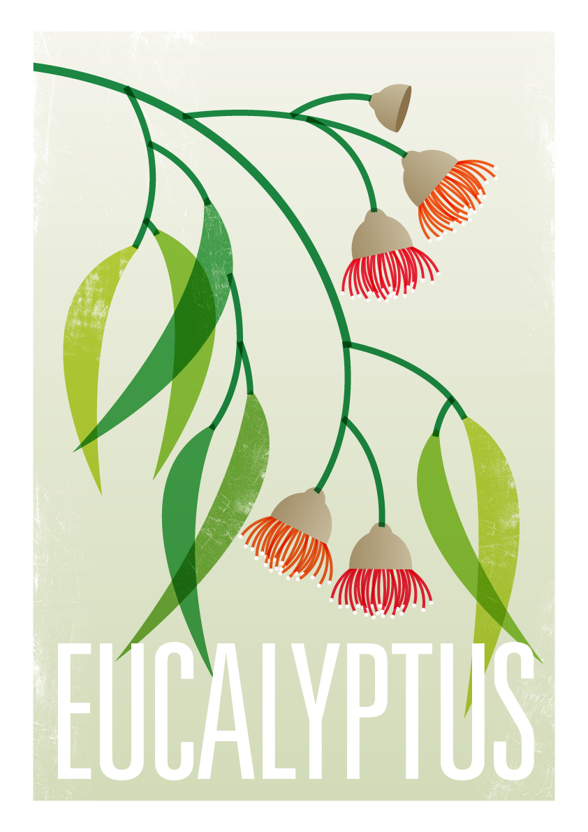 Eucalyptus Fine Art Print